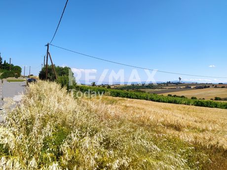 Parcel 7.196sqm for sale-Thermaikos » Peraia