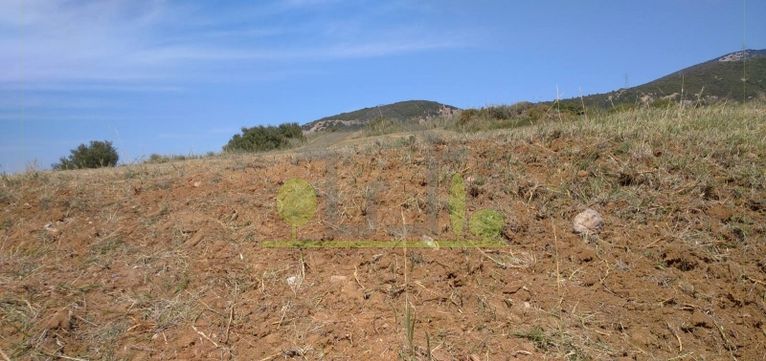 Οικόπεδο 5.520 τ.μ. για πώληση, Αχαΐα, Πάτρα