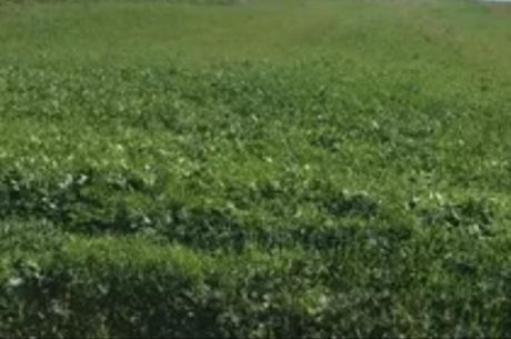 Land plot 243sqm for sale-Iraklio » Prasinos Lofos