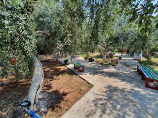 Επιχείρηση 95 τ.μ. για πώληση, Ν. Καβάλας, Θάσος-thumb-10