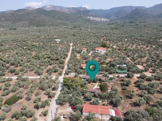 Επιχείρηση 95 τ.μ. για πώληση, Ν. Καβάλας, Θάσος-thumb-3