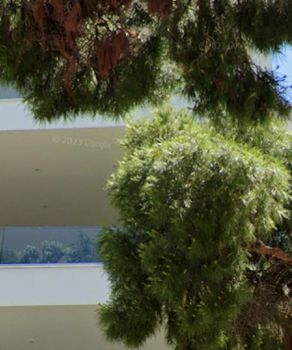 Detached home 800sqm for sale-Voula