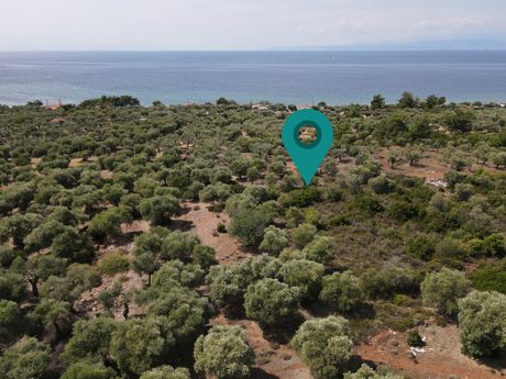 Αγροτεμάχια 1.052τ.μ. για πώληση-Θάσος » Σκάλα καλλιράχης
