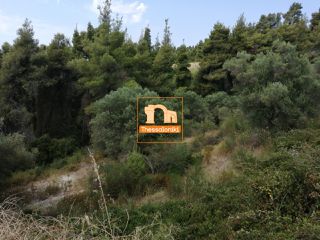 Αγροτεμάχια 3.480 τ.μ. για πώληση