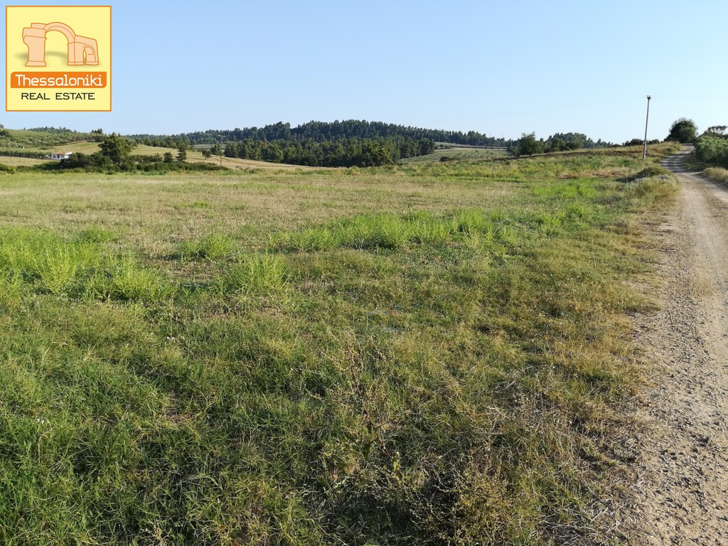 Αγροτεμάχια 7.533 τ.μ. προς πώληση, Καλλιθέα Κασσάνδρας