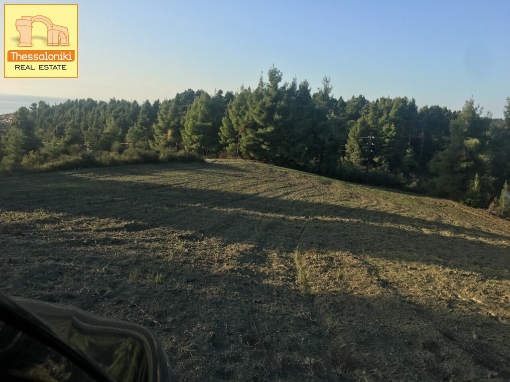 Αγροτεμάχια 24.000 τ.μ. προς πώληση, Σίβηρη