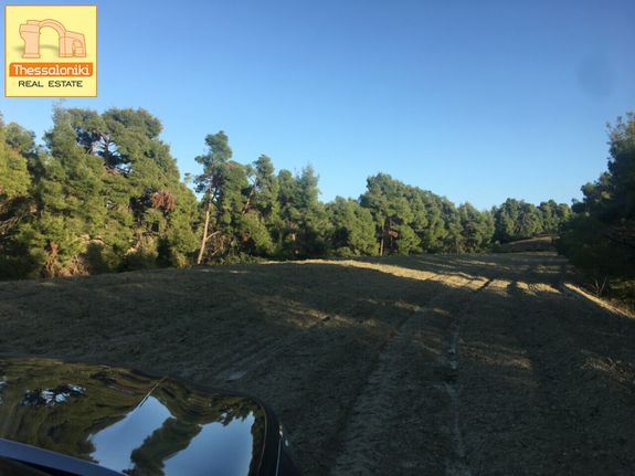 Αγροτεμάχια 24.000 τ.μ. για πώληση, Χαλκιδική, Κασσάνδρα