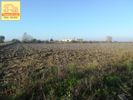 Αγροτεμάχια 12.000τ.μ. για πώληση-Εχέδωρος » Κέντρο
