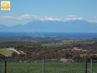 Αγροτεμάχια 5.576 τ.μ. για πώληση