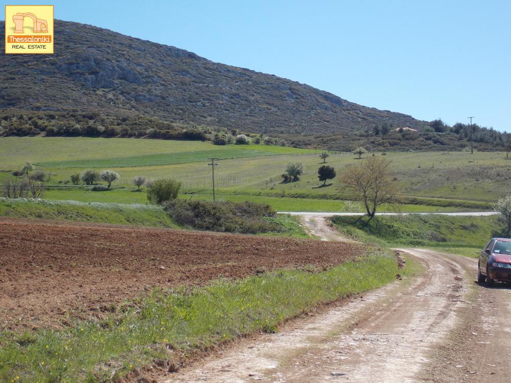 Αγροτεμάχια 5.576 τ.μ. προς πώληση, Πετράλωνα Τρίγλιας
