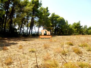 Αγροτεμάχια 4.275 τ.μ. προς πώληση, Καλλιθέα Κασσάνδρας-thumb-3