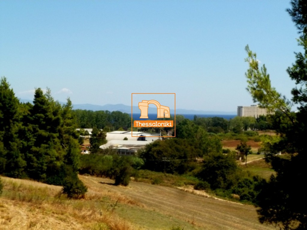Αγροτεμάχια 4.275 τ.μ. προς πώληση, Καλλιθέα Κασσάνδρας