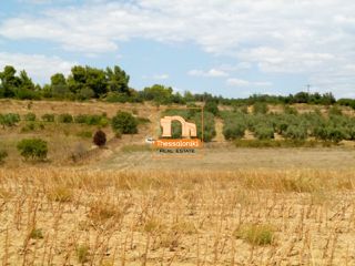 Αγροτεμάχια 4.275 τ.μ. προς πώληση, Καλλιθέα Κασσάνδρας-thumb-4