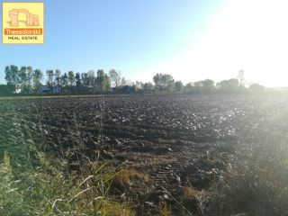 Αγροτεμάχια 8.000 τ.μ. για πώληση