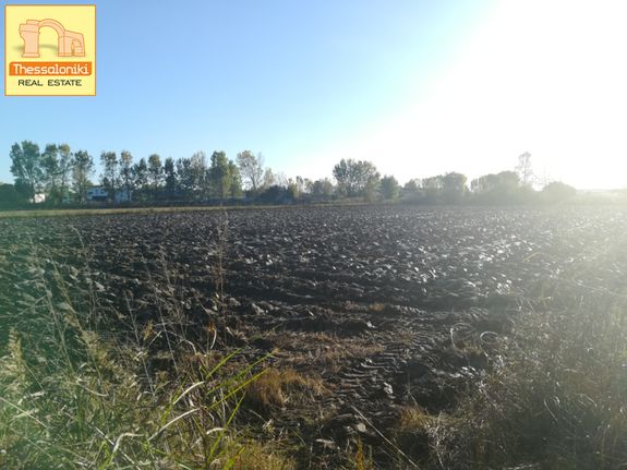 Αγροτεμάχια 8.000 τ.μ. για πώληση, Θεσσαλονίκη - Περιφ/Κοί Δήμοι, Εχέδωρος