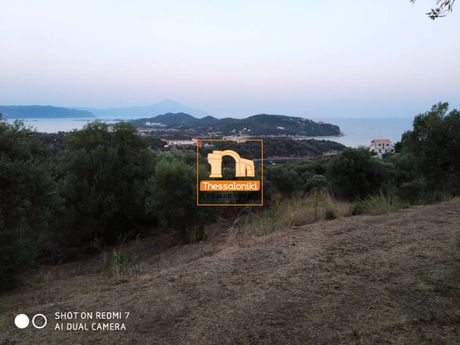 Αγροτεμάχια 1.700τ.μ. για πώληση-Σταγείρων - ακάνθου » Αμολιανη