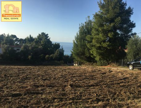 Αγροτεμάχια 11.400τ.μ. για πώληση-Κασσάνδρα » Γλυφονέρι