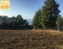 Parcel 11.400sqm for sale-Kassandra » Glifoneri
