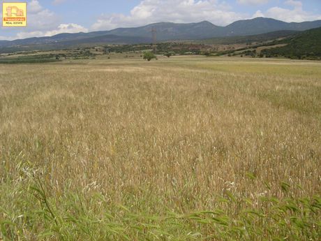 Αγροτεμάχια 8.469τ.μ. για πώληση-Θέρμη » Βασιλικά » Κέντρο