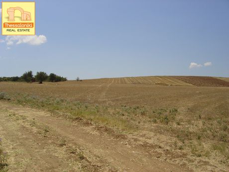 Αγροτεμάχια 4.115τ.μ. για πώληση-Θέρμη » Αγία παρασκευή