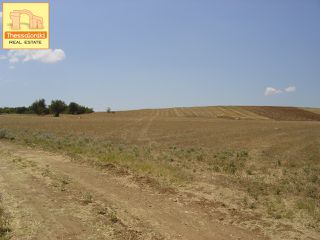 Αγροτεμάχια 4.115 τ.μ. για πώληση