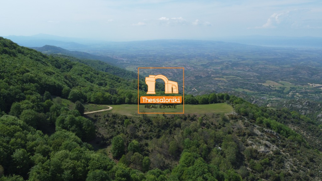 Αγροτεμάχια 16.360 τ.μ. προς πώληση, Ταξιάρχης Πολυγύρου
