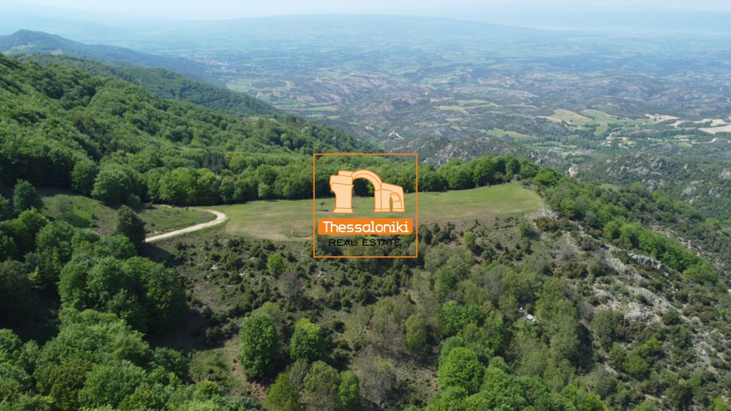 Αγροτεμάχια 16.360 τ.μ. προς πώληση, Ταξιάρχης Πολυγύρου