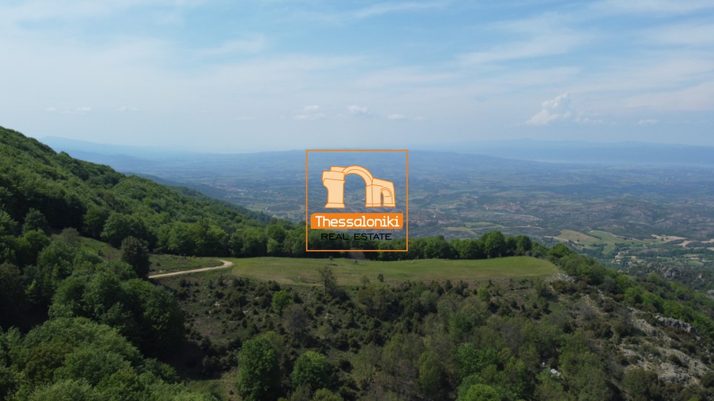 Αγροτεμάχια 16.360 τ.μ. προς πώληση, Ταξιάρχης Πολυγύρου