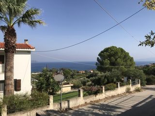 Αγροτεμάχια 2.242 τ.μ. για πώληση