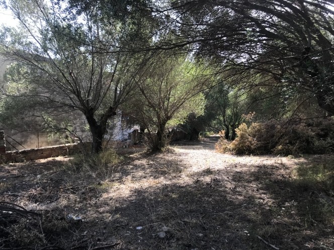 Αγροτεμάχια 2.242 τ.μ. προς πώληση, Λειβαθώ