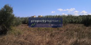 Οικόπεδο 5.000 τ.μ. για πώληση, Ν. Ρεθύμνου, Λάππα-thumb-4