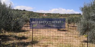 Οικόπεδο 5.000 τ.μ. για πώληση, Ν. Ρεθύμνου, Λάππα-thumb-3