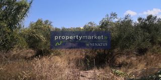 Οικόπεδο 5.000 τ.μ. για πώληση, Ν. Ρεθύμνου, Λάππα-thumb-1