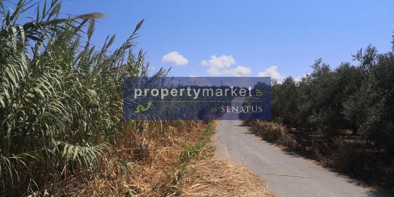Land plot 5.000 sqm for sale, Rethymno Prefecture, Lappa