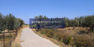 Οικόπεδο 5.000 τ.μ. για πώληση, Ν. Ρεθύμνου, Λάππα-thumb-5