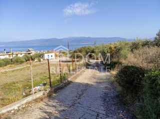 Αγροτεμάχια 4.886 τ.μ. για πώληση