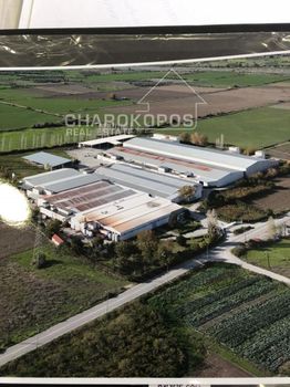Βιομηχανικός χώρος 27.126τ.μ. για πώληση-Σπερχειάδα » Μεσοποταμιά