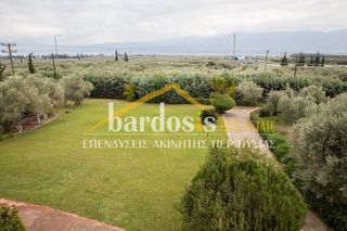 Loft 330 τ.μ. για πώληση, Φθιώτιδας, Στυλίδα-thumb-2