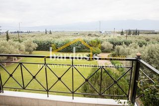 Loft 330 τ.μ. για πώληση, Φθιώτιδας, Στυλίδα-thumb-4
