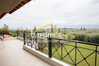 Loft 330 τ.μ. για πώληση, Φθιώτιδας, Στυλίδα-thumb-5