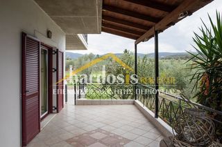 Loft 330 τ.μ. για πώληση, Φθιώτιδας, Στυλίδα-thumb-31