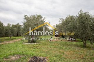 Loft 330 τ.μ. για πώληση, Φθιώτιδας, Στυλίδα-thumb-42