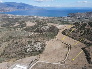 Αγροτεμάχια 38.550 τ.μ. για πώληση