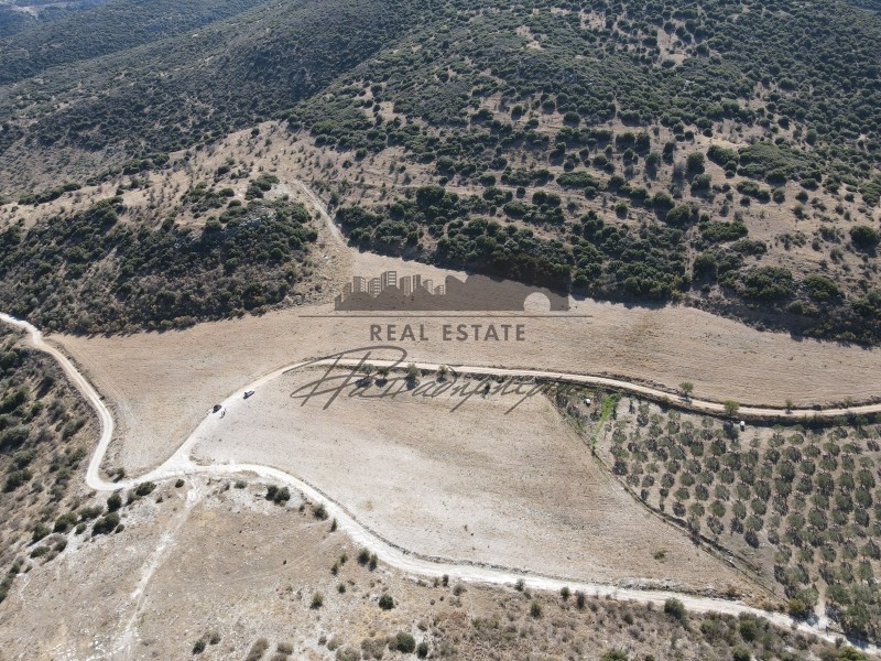 Αγροτεμάχια 38.550 τ.μ. προς πώληση, Νέες Παγασές