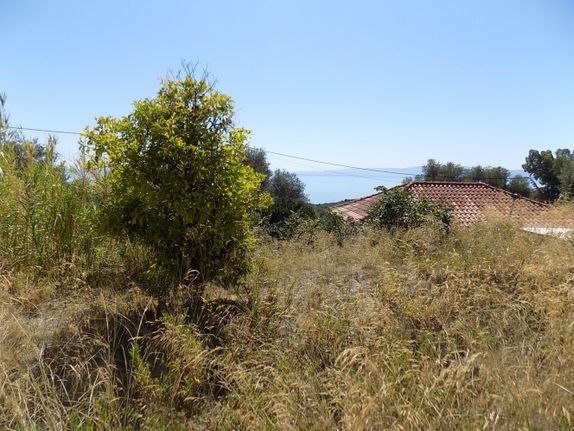 Parcel 2.968 sqm for sale, Kefallinia Prefecture, Kefalonia