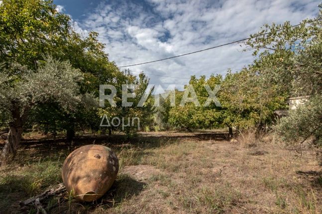 Αγροτεμάχια 1.249 τ.μ. για πώληση, Μαγνησία, Σηπιάδα