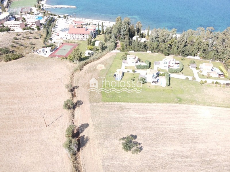 Οικόπεδο 8.000 τ.μ. πρός πώληση, Ν. Κεφαλονιάς, Κεφαλονιά