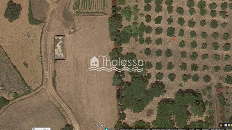 Οικόπεδο 8.000 τ.μ. πρός πώληση, Ν. Κεφαλονιάς, Κεφαλονιά