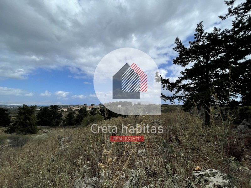 Οικόπεδο 2.602 τ.μ. προς πώληση, Κέντρο Βάμου