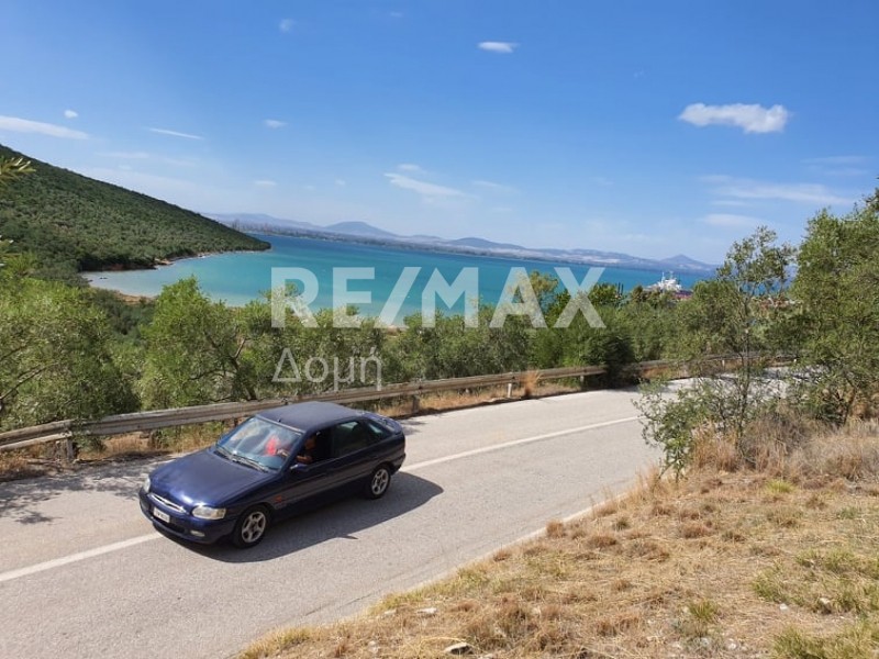 Αγροτεμάχια 9.920 τ.μ. πρός πώληση, Μαγνησία, Σούρπη